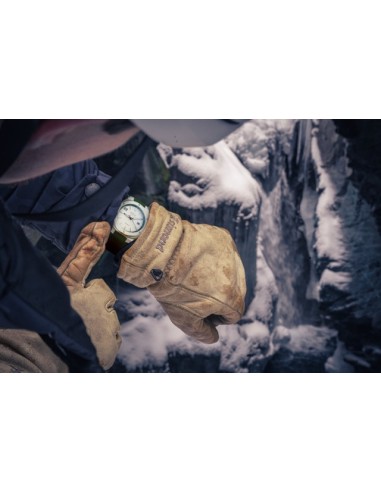 Alpina - Alpiner Extreme Automatic - FWC...